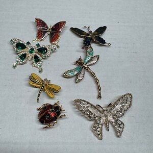 Butterfly ladybug dragonfly brooch bundle